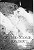 Water~Stone Review