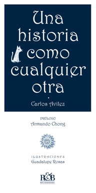 Una historia como cualquier otra (Paperback)