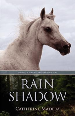 Rain Shadow (Kindle Edition)