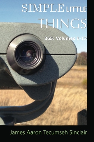 Simple Little Things: 365: Volumes 1-12