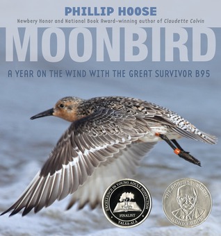 Moonbird: A Year on the Wind with the Great Survivor B95 (Hardcover)