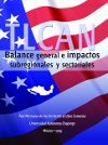 TLCAN Balance general e impactos subregionales y sectoriales