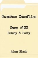 Gumshoe Casefiles - Case 133