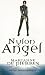 Nylon Angel (Parrish Plessis, #1)