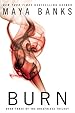 Image for Burn