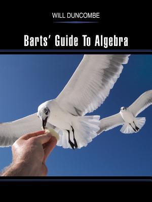 Barts Guide To Algebra (Paperback)