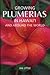 Growing Plumerias In Hawai and around the world