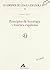 Principios de fonología y fonética españolas