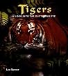 Tigers: A Look into the Glittering Eye Tigers: A Look into the Glittering Eye