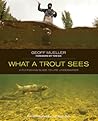 What a Trout Sees...