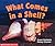 What Comes In A Shell