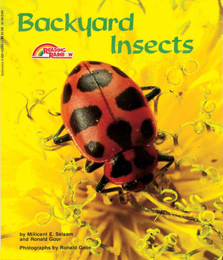 Backyard Insects (Paperback)