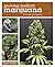 Growing Medical Marijuana: ...