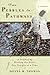 From Pebbles to Pathways: A Journey of Healing the Heart One Insight at a Time
