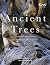 Ancient Trees: Trees That Live for a Thousand Years