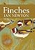 Finches by Ian Newton