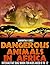 Dangerous Animals In Africa