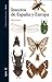 Insectos de España y Europa