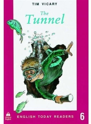 The Tunnel (Paperback)