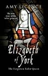 Elizabeth of York by Amy Licence