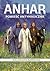 Anhar. Powieść antymagiczna (Powieść antymagiczna, #1)
