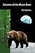 Dreams of the Moon Bear