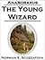 the Young Wizard (Anaboraxus, #1)