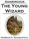 the Young Wizard (Anaboraxus, #1)