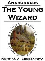 the Young Wizard (Anaboraxus, #1)
