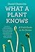 What a Plant Knows: A Field Guide to the Senses