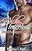 Holiday Interlude (Deceitful Appearances, #1)