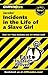 CliffsNotes on Jacobs' Incidents in the Life of a Slave Girl by Durthy A. Washington