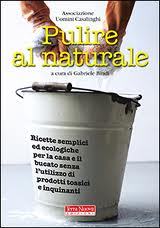 Pulire al naturale: Ricette semplici ed ecologiche per la casa e il bucato senza l'utilizzo di prodotti tossici e inquinanti (Paperback)