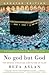No God But God: The Origins, Evolution and Future of Islam