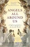 Angels All Around Us by Anthony   DeStefano