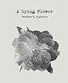 A Dying Flower