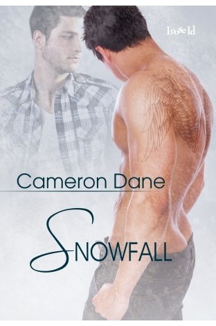 Snowfall (Foster Siblings, #2.5)