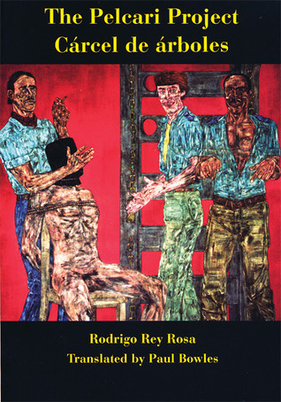 The Pelcari Project (Paperback)