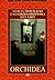 Orchidea