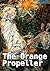 The Orange Propeller