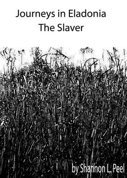 The Slaver (Journeys in Eladonia, #2)