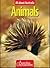 Australian Animals