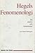 Hegels fenomenologi