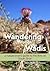 Wandering through Wadis: A ...