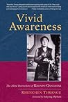 Vivid Awareness: ...