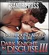 Dark Knight in Disguise III by Sandra Ross