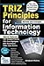 TRIZ Principles for Information Technology