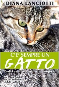 C'è sempre un gatto: Dodici gatti unici con finale a sorpresa