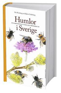 Humlor i Sverige: 40 arter att älska och förundras över