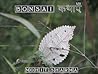 Bonsai कथाएँ Bonsai कथाएँ